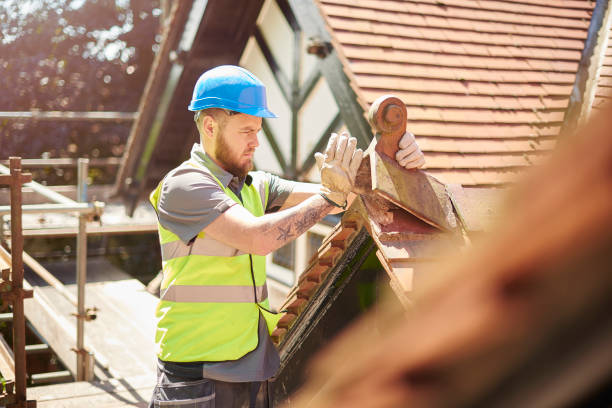 Best Roof Gutter Cleaning  in Mec, CA